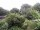 Webcam in Audley, 11.1 mi away
