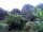 Webcam in Audley, 31.3 mi away