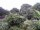 Webcam in Audley, 16.5 mi away