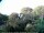 Webcam in Audley, 91 km