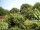 Webcam in Audley, 11.1 mi away