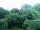 Webcam in Audley, 22.7 mi away