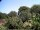 Webcam in Audley, 149.4 km