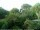 Webcam in Audley, 58.9 km