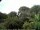 Webcam in Audley, 48.9 km
