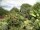 Webcam in Audley, 19.6 km