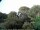 Webcam in Audley, 7.6 mi away