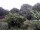 Webcam in Audley, 11.1 mi away