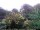 Webcam in Audley, 123.1 km