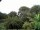 Webcam in Audley, 34.2 mi away