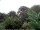 Webcam in Audley, 11.1 mi away