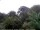 Webcam in Audley, 28.8 km