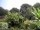 Webcam in Audley, 49.1 km