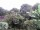 Webcam in Audley, 9.4 mi away