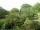 Webcam in Audley, 18.3 mi away