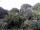 Webcam in Audley, 11.1 mi away