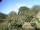 Webcam in Audley, 91 km entfernt