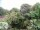 Webcam in Audley, 47.5 mi away