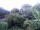 Webcam in Audley, 123.5 km