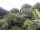 Webcam in Audley, 31.3 mi away
