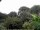 Webcam in Audley, 57.2 km