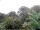 Webcam in Audley, 19.6 km entfernt