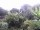 Webcam in Audley, 27.3 mi away