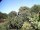 Webcam in Audley, 70.6 km