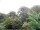 Webcam in Audley, 25.7 mi away