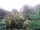 Webcam in Audley, 22.7 mi away