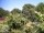 Webcam in Audley, 123.5 km