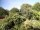 Webcam in Audley, 31.3 mi away