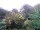 Webcam in Audley, 88.5 km entfernt