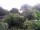 Webcam in Audley, 103.8 km