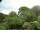 Webcam in Audley, 123.1 km