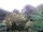 Webcam in Audley, 48 km