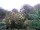 Webcam in Audley, 46.2 km