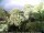 Webcam in Audley, 28.8 km