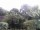 Webcam in Audley, 103.8 km