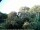 Webcam in Audley, 22.7 mi away