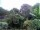 Webcam in Audley, 47.7 mi away