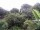 Webcam in Audley, 11.1 mi away