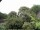 Webcam in Audley, 24.3 km