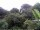 Webcam in Audley, 50.2 mi away