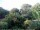 Webcam in Audley, 70.6 km