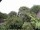 Webcam in Audley, 46.8 km