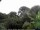 Webcam in Audley, 11.1 mi away