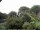 Webcam in Audley, 61 km