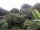 Webcam in Audley, 91 km