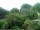 Webcam in Audley, 19.6 km
